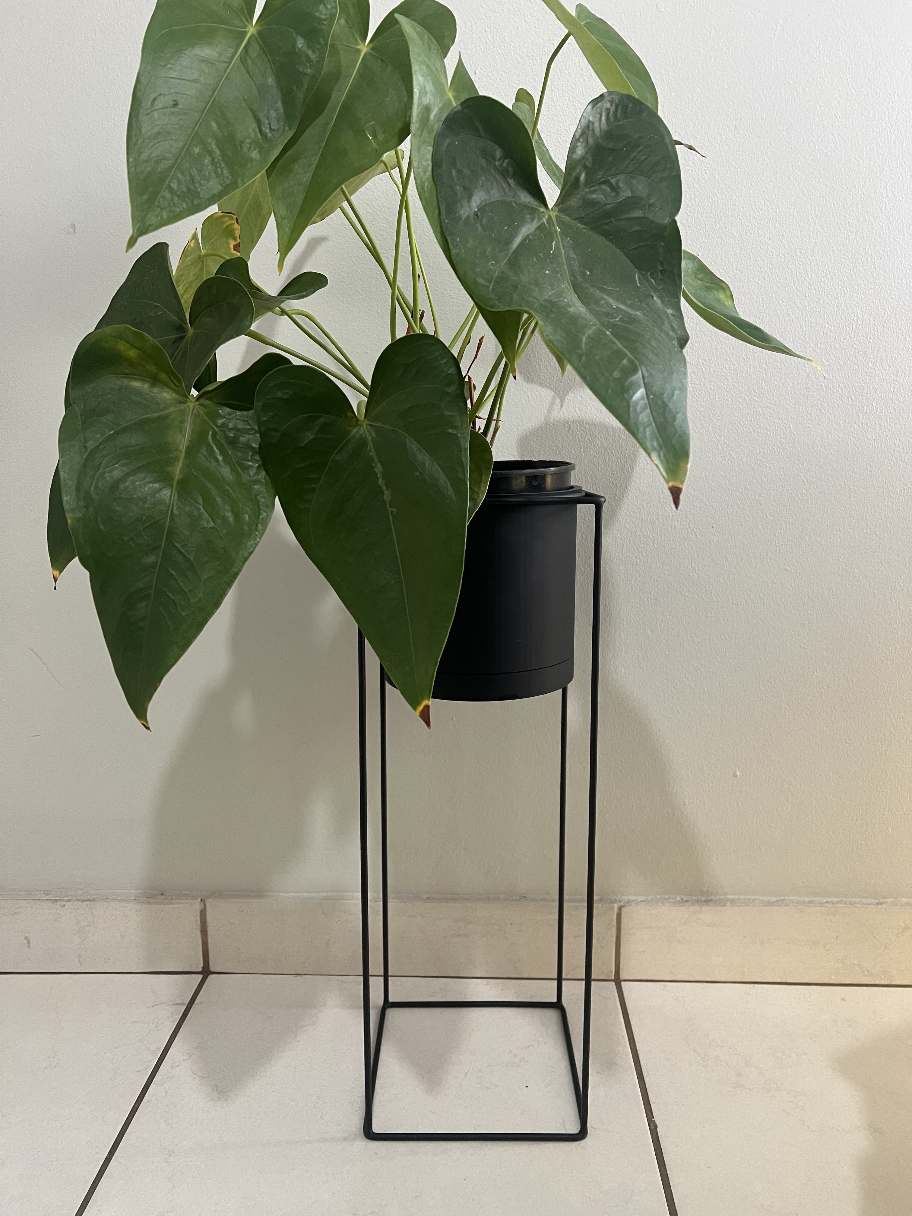 Skép Lewe — planter, 3D-gedruk met plaaslike PLA